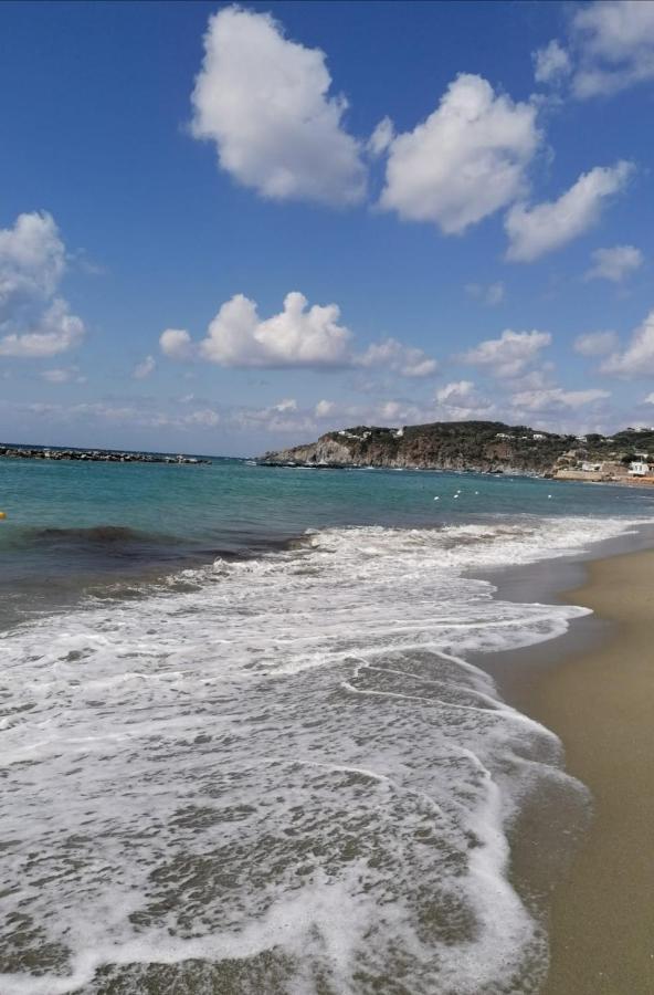 Bed and Breakfast La Bicocca Di Annavi Forio di Ischia Zewnętrze zdjęcie