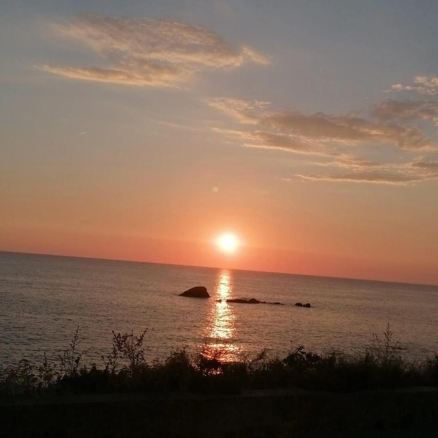 Bed and Breakfast La Bicocca Di Annavi Forio di Ischia Zewnętrze zdjęcie