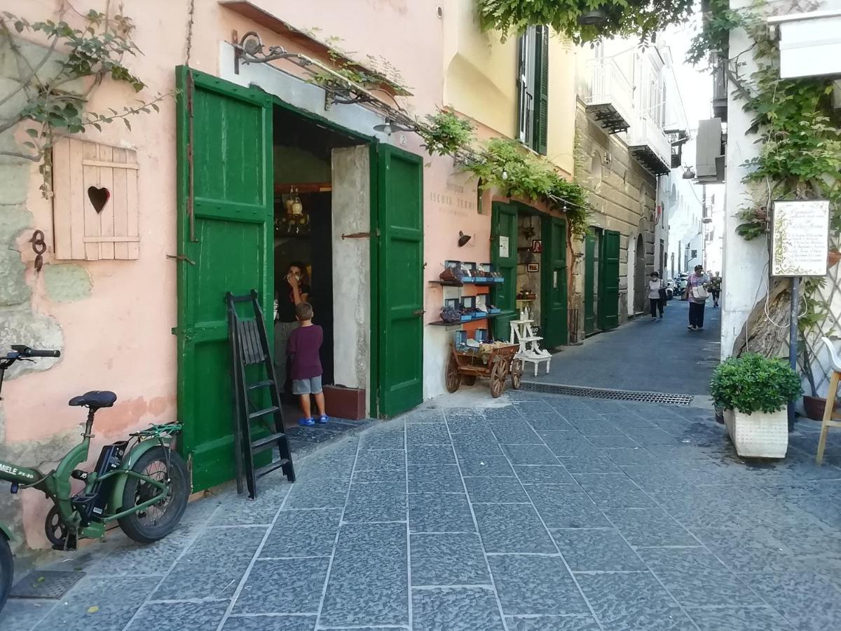 Bed and Breakfast La Bicocca Di Annavi Forio di Ischia Zewnętrze zdjęcie