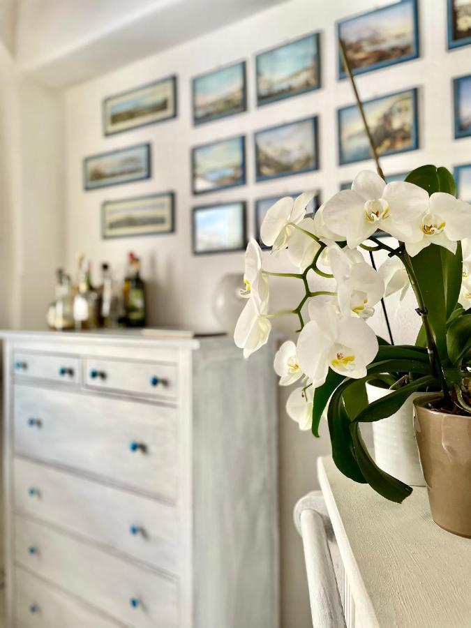 Bed and Breakfast La Bicocca Di Annavi Forio di Ischia Zewnętrze zdjęcie