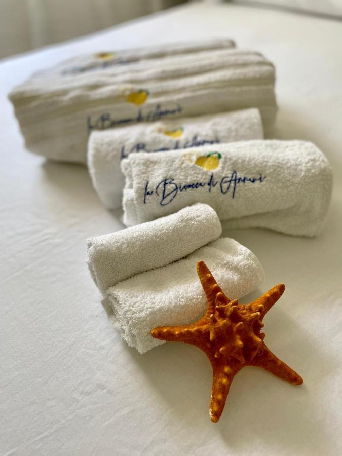 Bed and Breakfast La Bicocca Di Annavi Forio di Ischia Zewnętrze zdjęcie