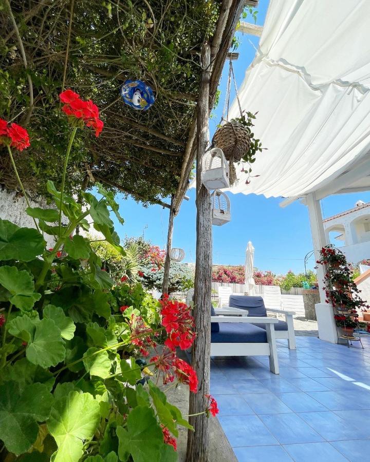 Bed and Breakfast La Bicocca Di Annavi Forio di Ischia Zewnętrze zdjęcie