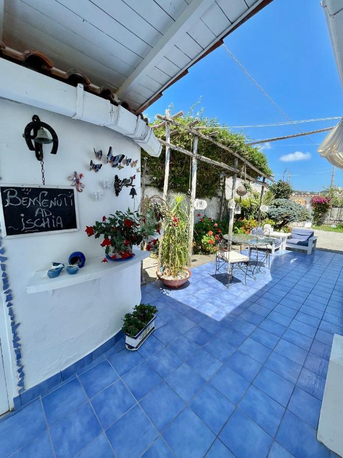 Bed and Breakfast La Bicocca Di Annavi Forio di Ischia Zewnętrze zdjęcie