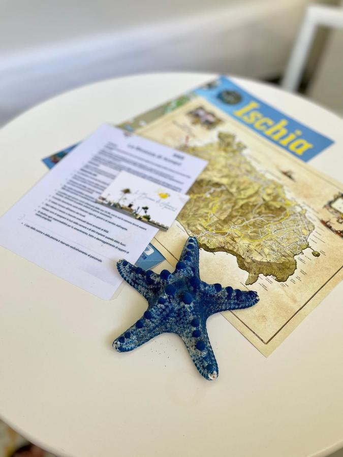 Bed and Breakfast La Bicocca Di Annavi Forio di Ischia Zewnętrze zdjęcie