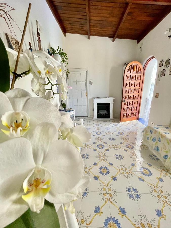 Bed and Breakfast La Bicocca Di Annavi Forio di Ischia Zewnętrze zdjęcie