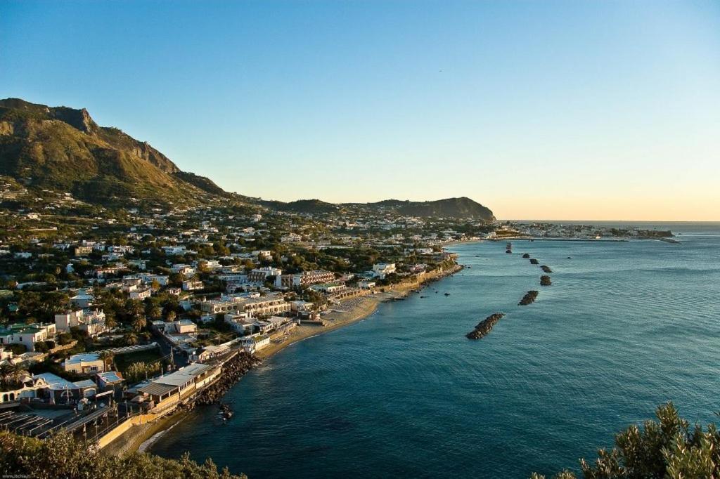 Bed and Breakfast La Bicocca Di Annavi Forio di Ischia Zewnętrze zdjęcie